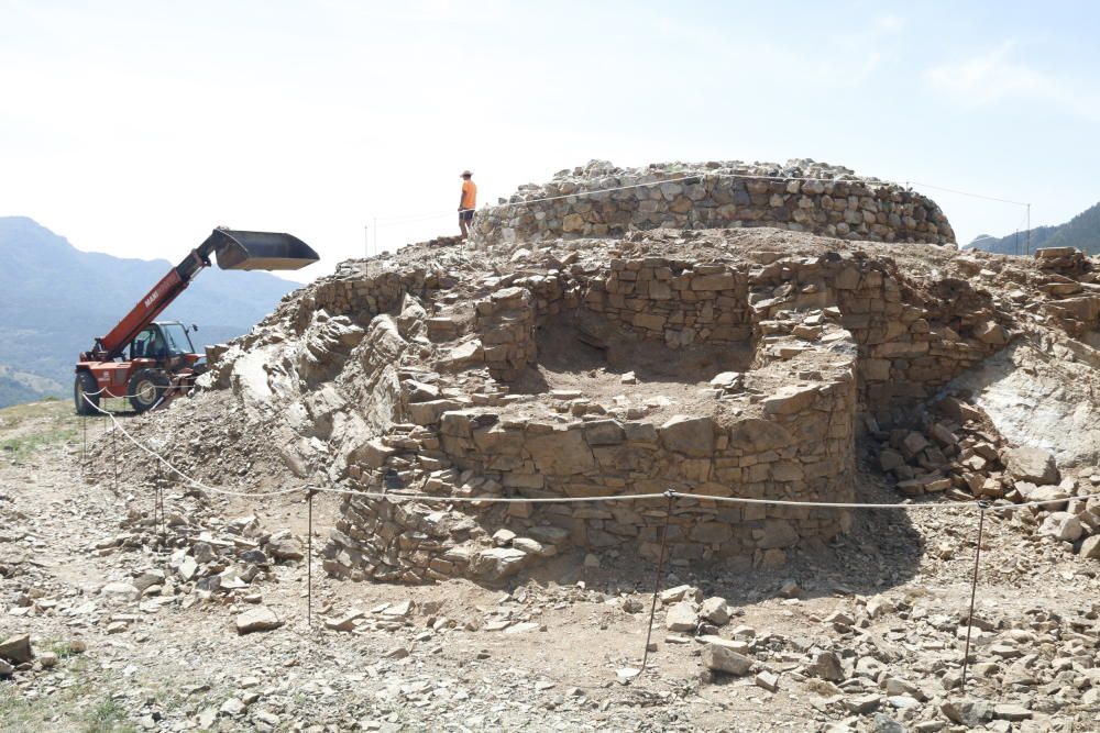 Una de les bestorres en primer pla que han aparegut a la Torre de Campelles el juliol del 2017