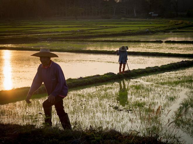 Tailandia: las maravillas escondidas de Sukhothai, Nan y Trat