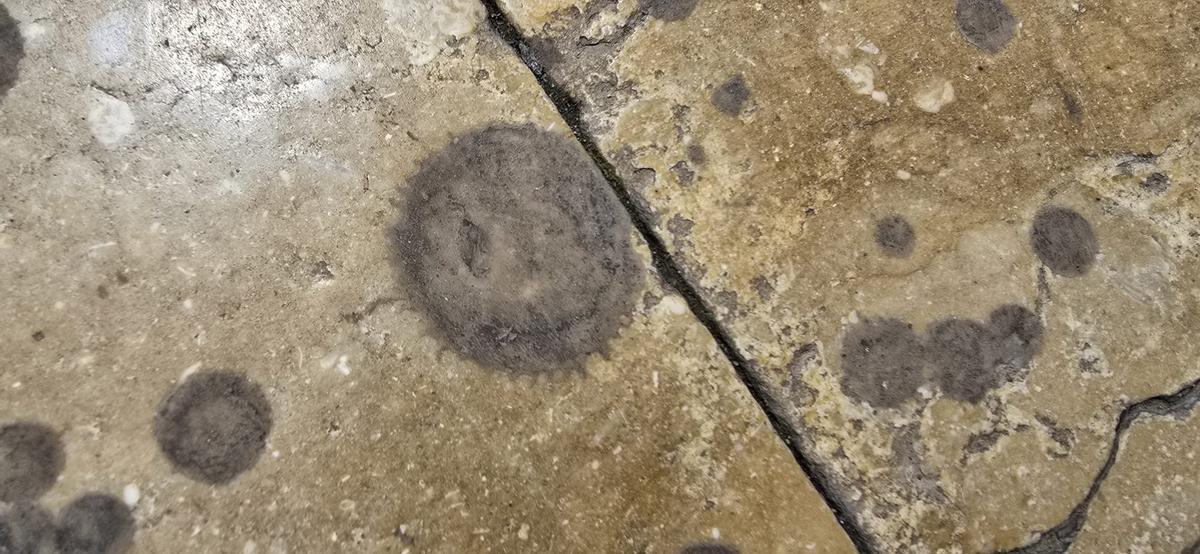 La cera puede afectar al sistema poroso de la piedra del pavimiento y generar daños persistentes, como se aprecia en la imagen.