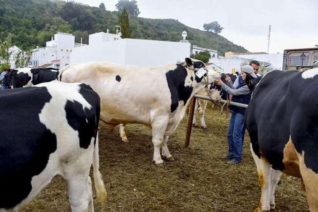 Día grande de las fiestas de San Vicente Ferrer ...