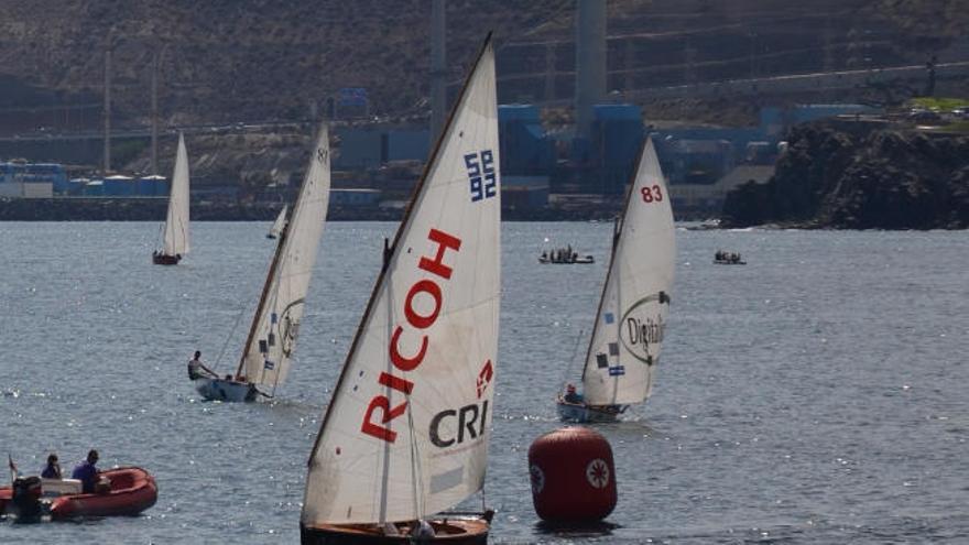 Barquillos grancanarios durante un regata del pasado campeonato.