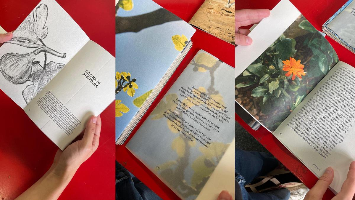 El interior de 'Sopita de ortigas', dividido en cocina de recogimiento y cocina de apertura