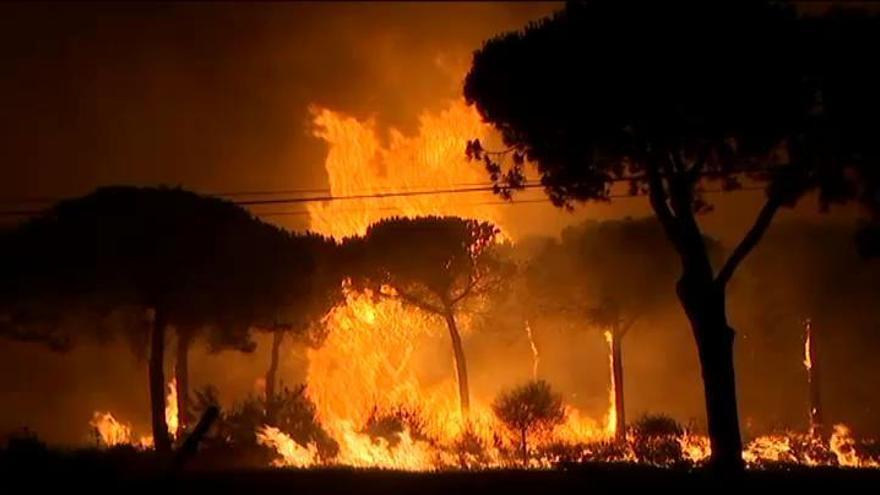 El incendio que amenaza a Doñana