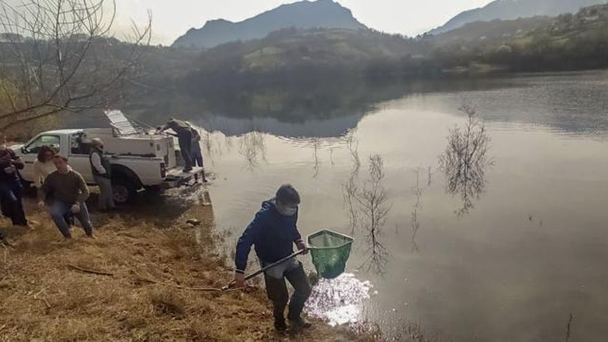 La pesca en los Alfilorios se limitará para preservar la población de truchas del coto