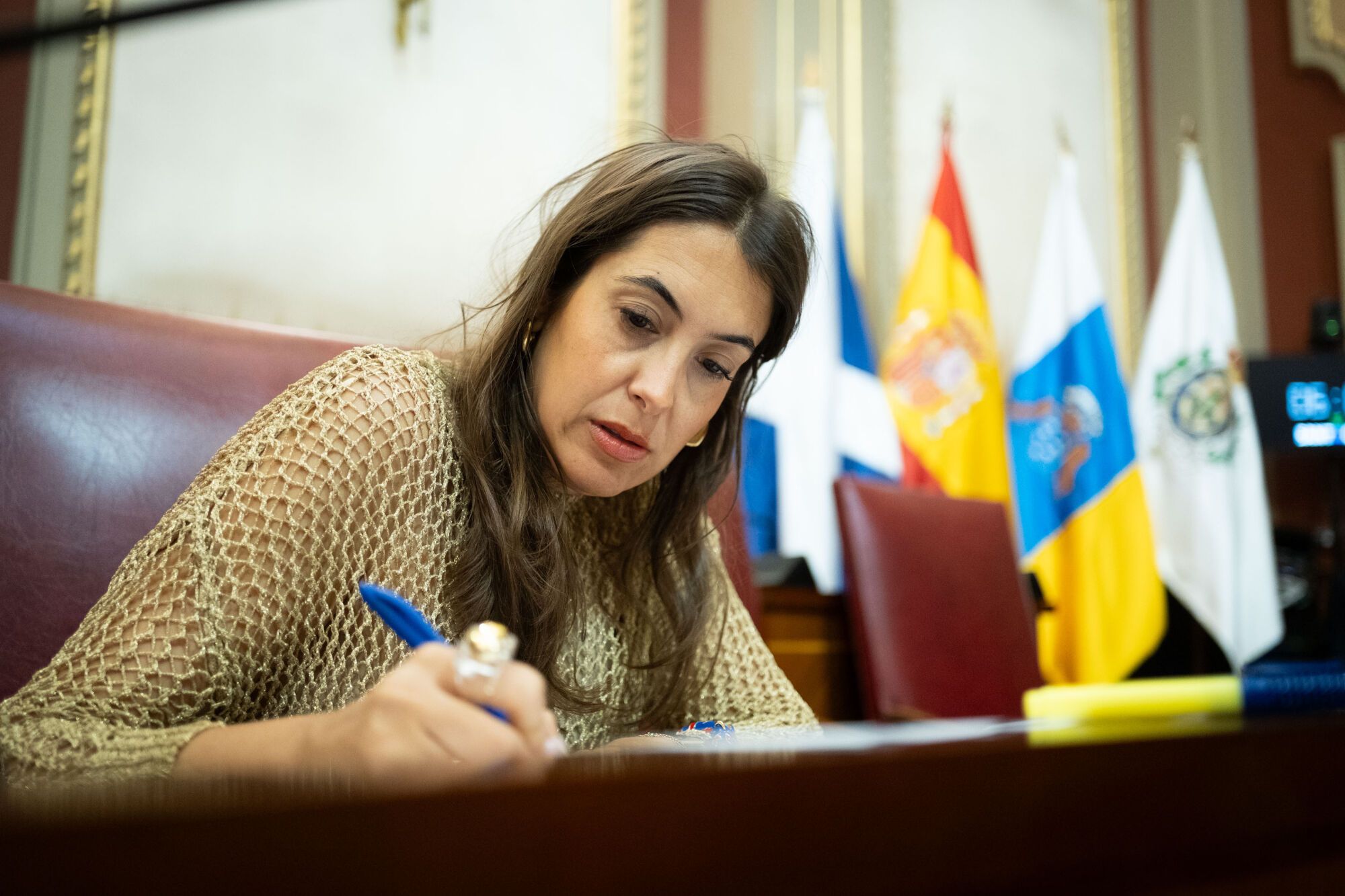 Pleno del Ayuntamiento de Santa Cruz de Tenerife (23.05.2025)