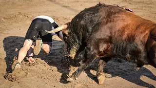 Cogida grave en Moncofa y susto en Nules en los festejos de 'bou al carrer'