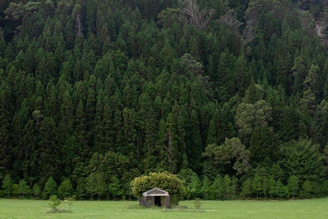 Paisaje llegando a Lagoa das Furnas. Islas Azores