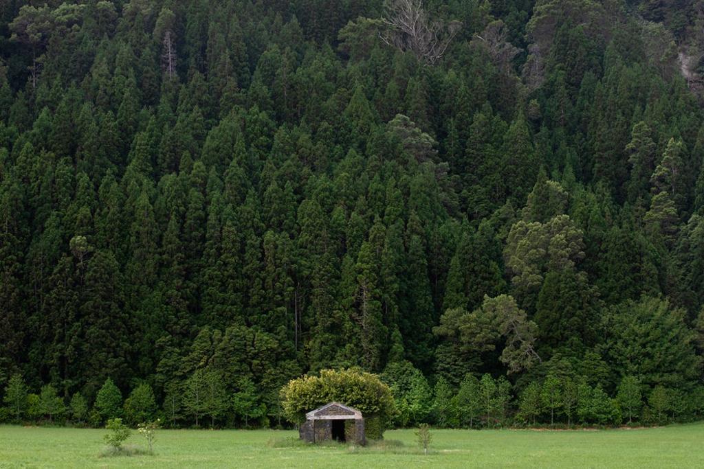 Paisaje llegando a Lagoa das Furnas.