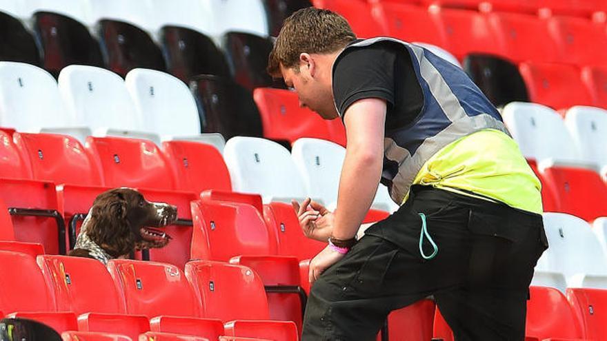 Un perro policía buscando en la grada de Old Trafford.