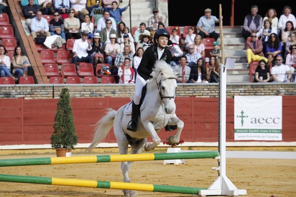 El mundo del caballo contra el cáncer