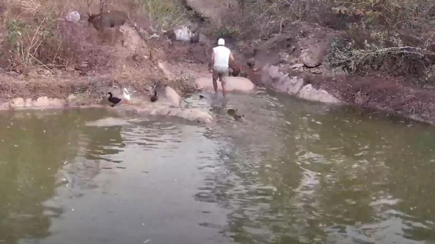 Frank Cuesta casi muere por el violento ataque en directo de un animal