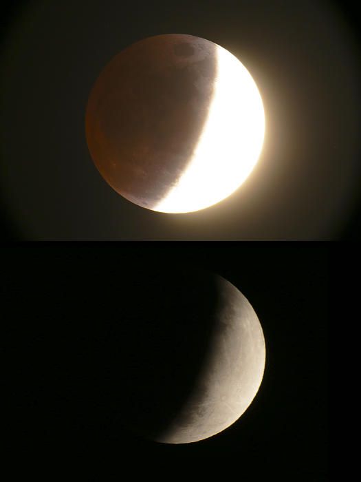 Les millors imatges de l'eclipsi parcial de lluna