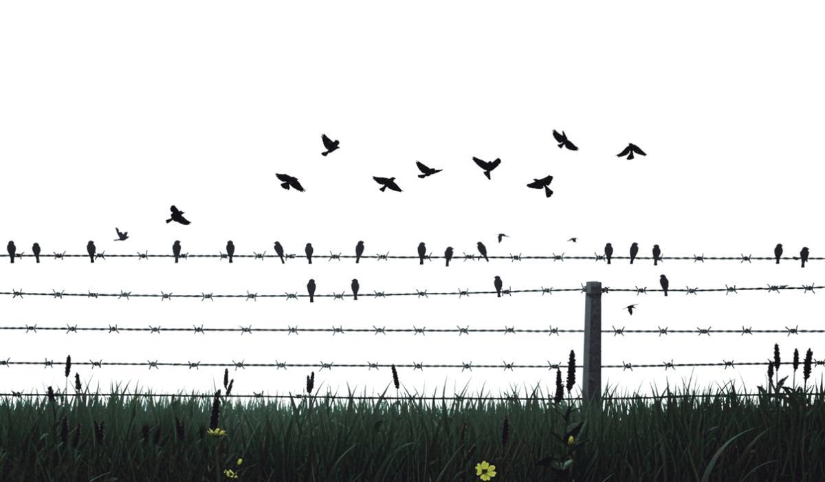 Ilustración de alambre de espino y pájaros.