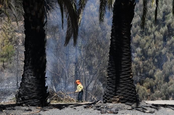 18/03/2019 FATAGA. SAN BARTOLOME DE TIRAJANA.  Incendio en Fataga, en la Finca Rural, Molino de Agua. Fotografa: YAIZA SOCORRO.  | 18/03/2019 | Fotógrafo: Yaiza Socorro