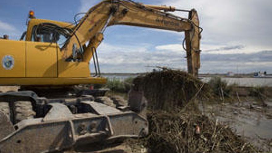 El ayuntamiento dice que ya están limpiando la Albufera