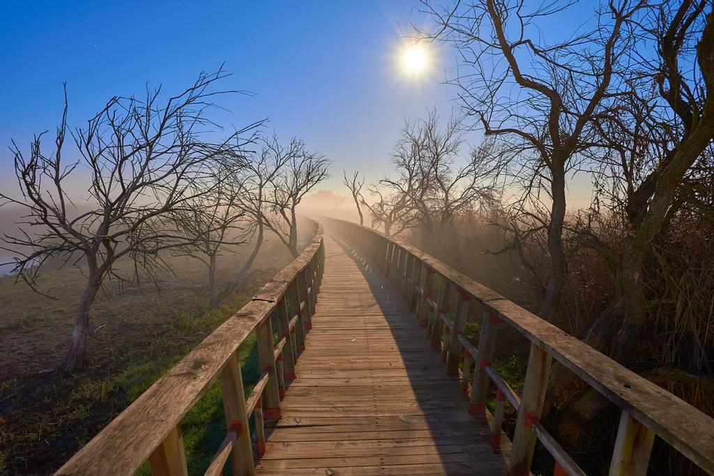 Tablas de Daimiel, sequia