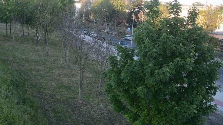 Zona verde elegida para el skate-park. // Rafa Vázquez