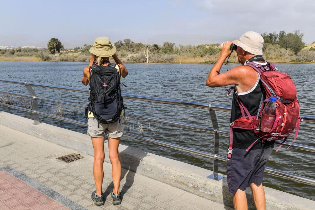Dos aficionados a la observación de aves en la orilla urbanizada de la Charca de Maspalomas. | | JUAN CASTRO