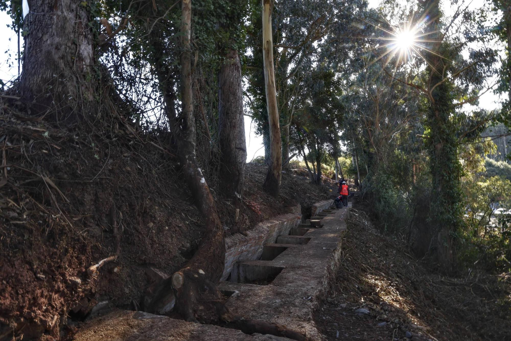 EN IMÁGENES: La exhumación de la fosa de La Lloba, en Castrillón