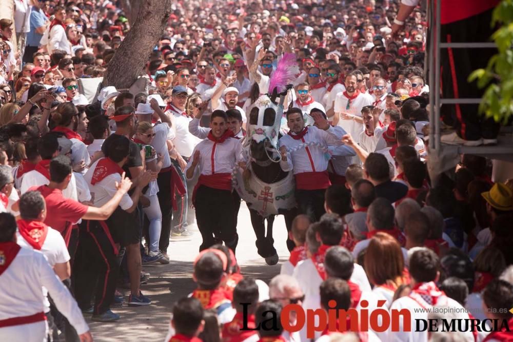 Carrera de los Caballos del Vino