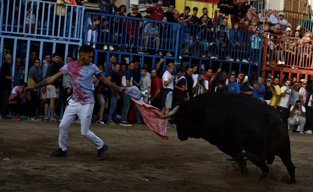El toro de Mollalta, recibido en su salida a la plaza por Eric Mallén.
