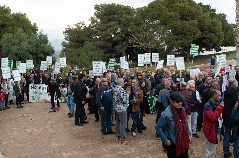 Manifestación por la Xylella en Altea