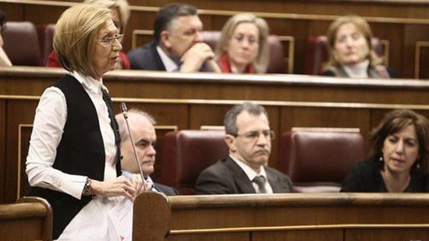 Rosa Díez acusa a Gobierno y PSOE de mantener las diputaciones para repartir cargos entre sus &quot;amigos&quot;