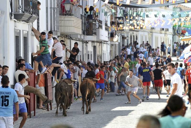 Los encierros vuelven a El Viso por Santa Ana