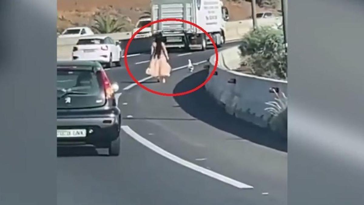 Vídeo: Una mujer paraliza la circulación de una carretera al detener su coche para rescatar un pato