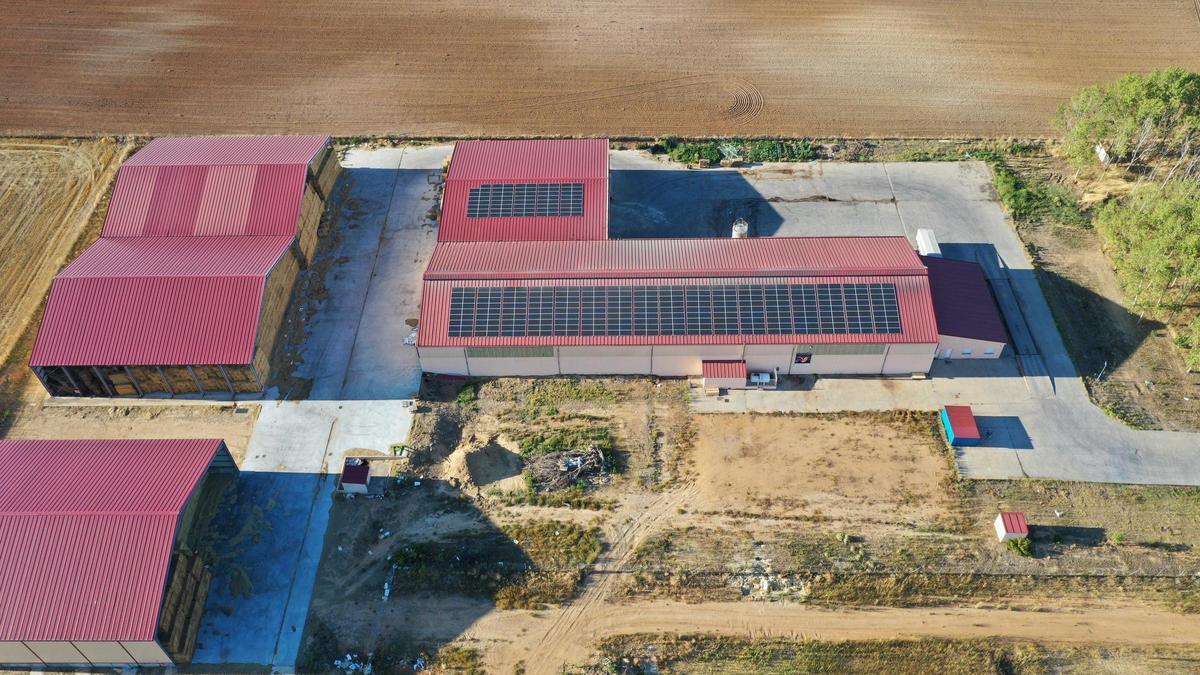 Placas fotovoltaicas sobre la fábrica de piensos de oveja de Torres del Carrizal.