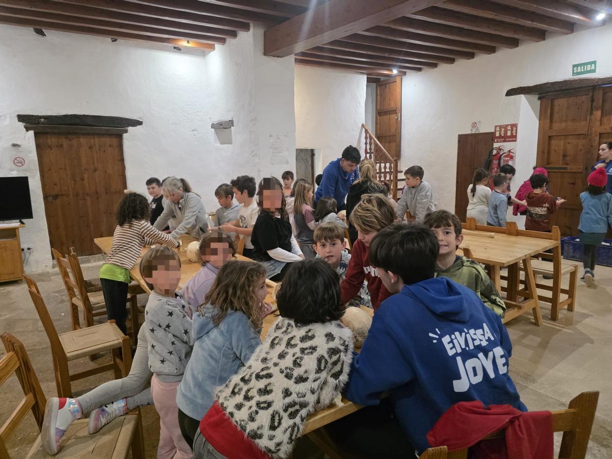 Estas son las imágenes del campamento de arqueología en Can Tomeu, programación Natura