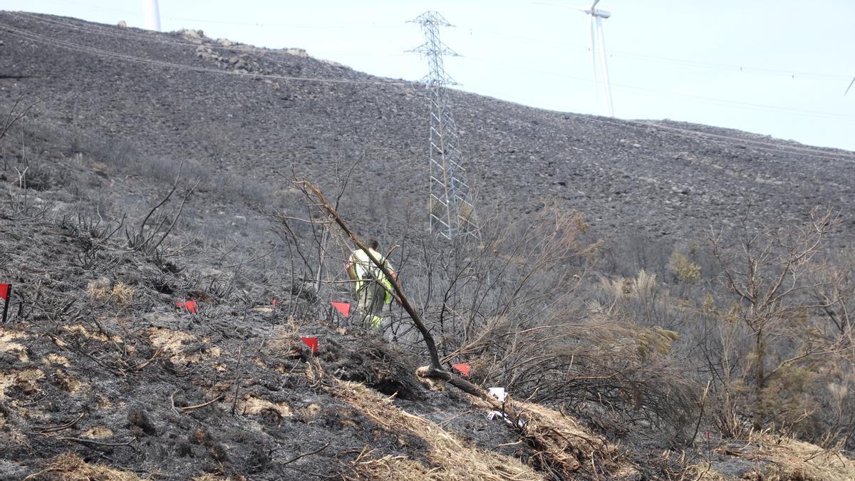 GALERÍA | Lubián después del fuego