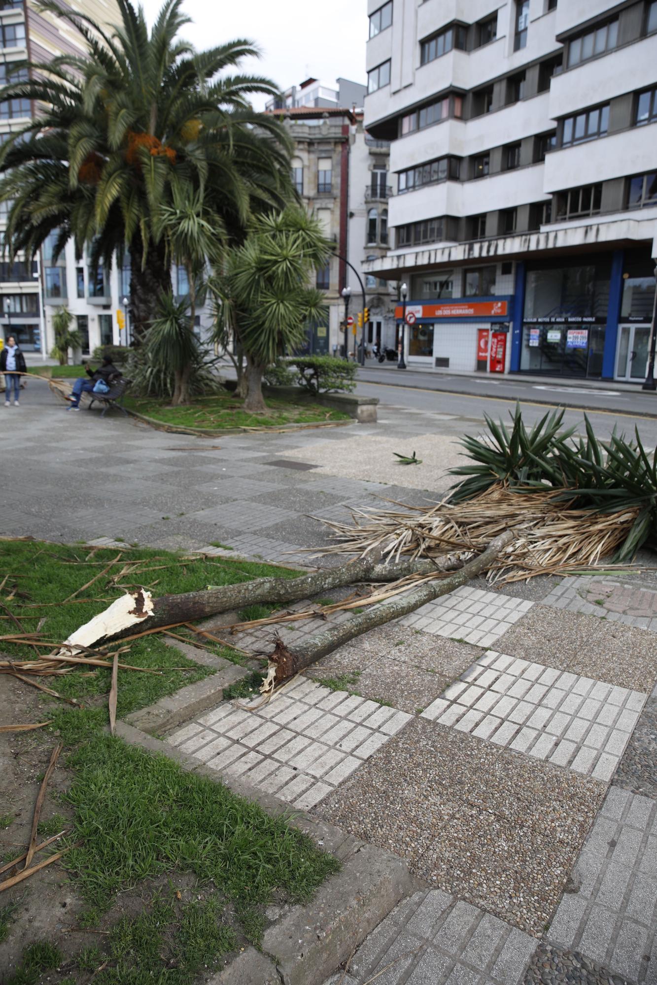 Viento en Gijón