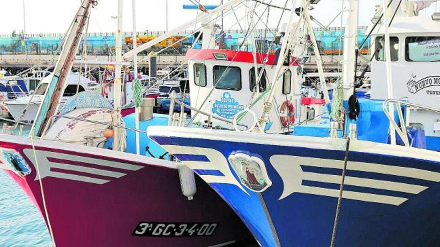 Barcos de la flota artesanal de Canarias, en una imagen distribuida por la consejería de Agricultura y Pesca.