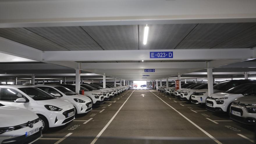 La batalla por La Luz Autoport: el sindicato de trabajadores reclama cambios en el Puerto de Las Palmas
