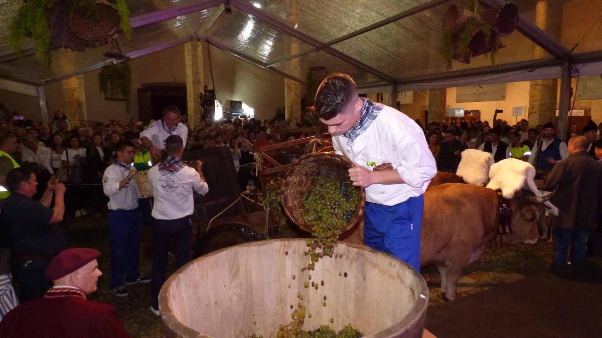 Los vendimiadores descargan la uva del carro del país durante la recreación de la vendimia de la edición de 2024.