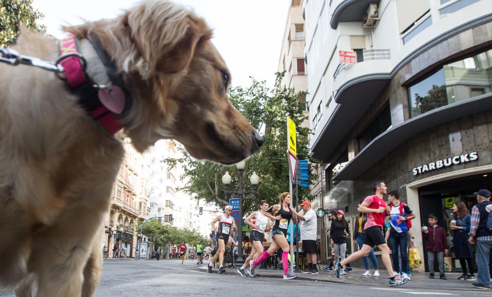 Hamid se adjudica el Medio Maratón de Alicante.