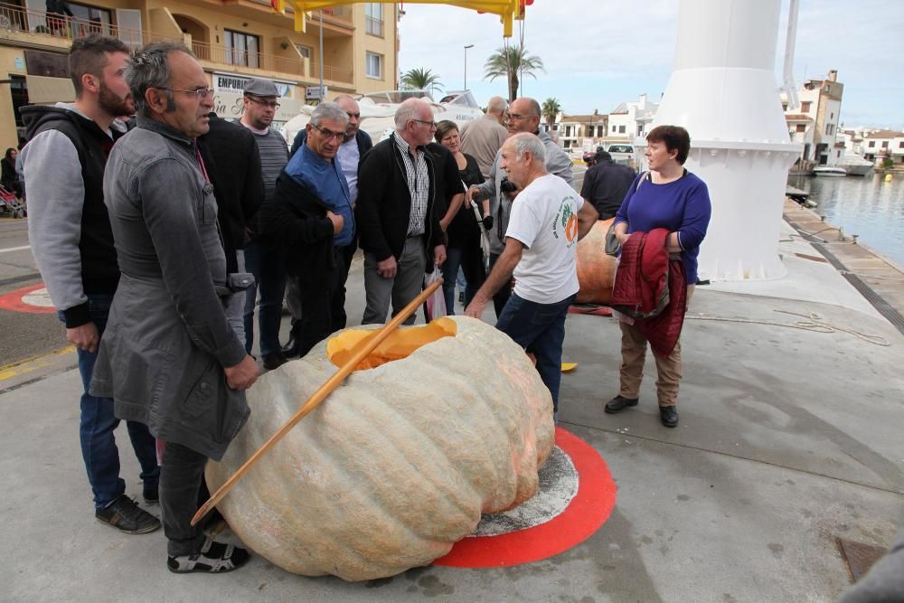 Carabasses gegants als canals d'Empuriabrava