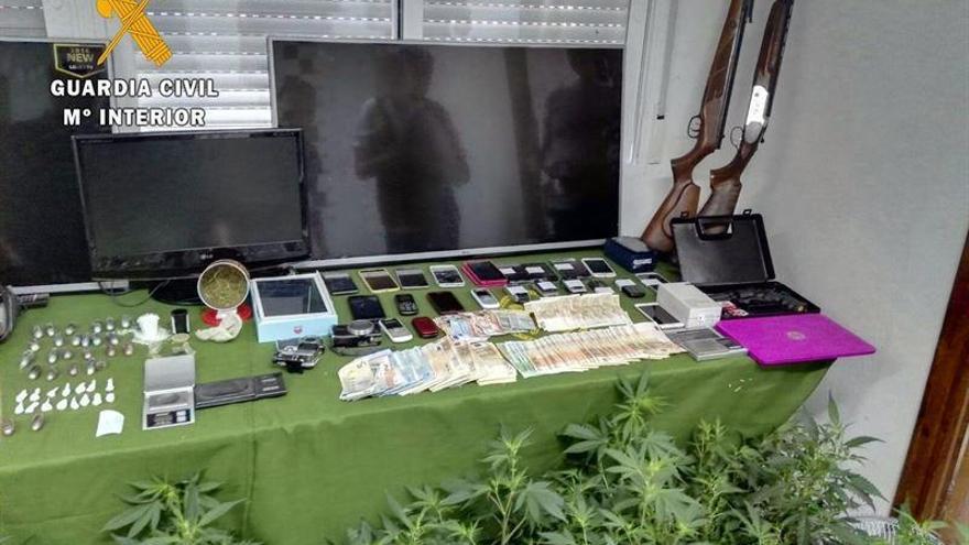 Detenidas 19 personas por cultivar y distribuir droga en la provincia de Badajoz