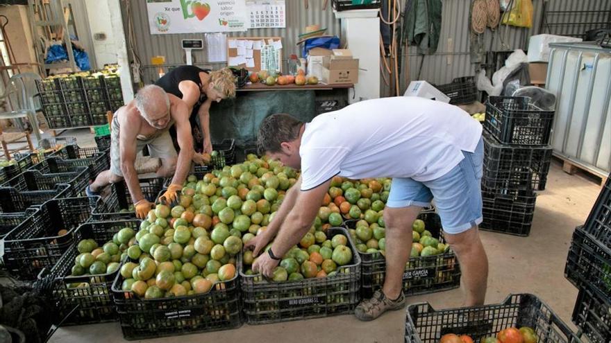 El tomate gourmet se expande a través de la red