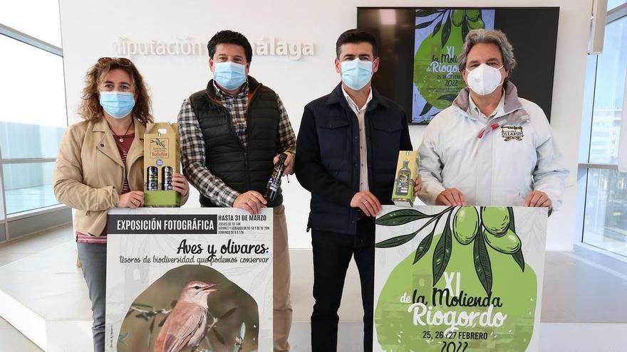 La XI Molienda de Riogordo organiza más de 15 actividades para este fin de semana