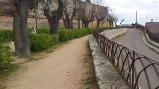 Toro se suma al Día del Árbol con estas actividades