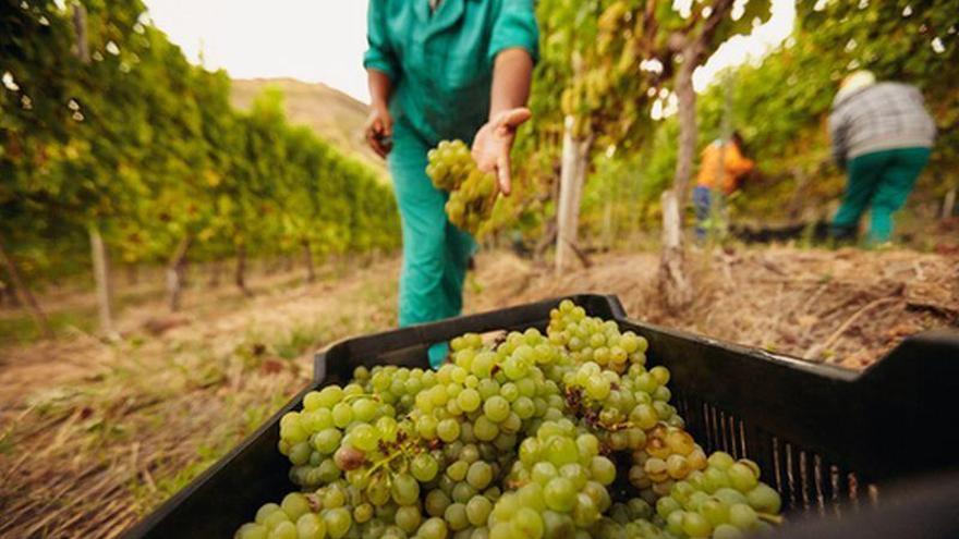 UAGA insiste en que los fruticultores no podrán facilitar, en todos los casos, alojamiento a los temporeros