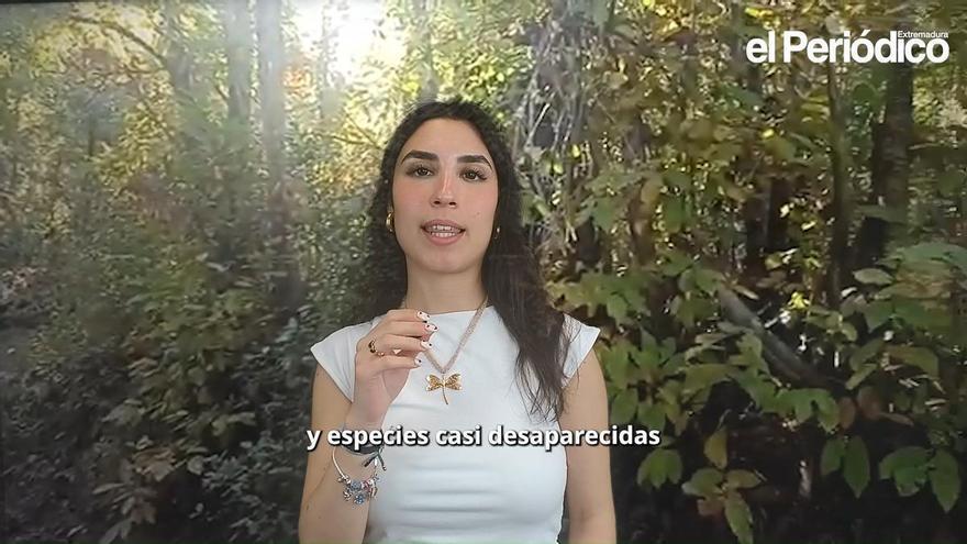 Las 