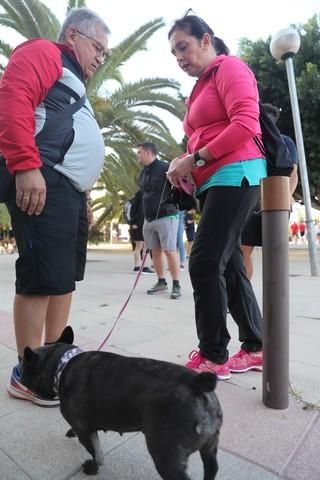 Carrera Popular Run for Parkinson´s Lorca 2019 (I)