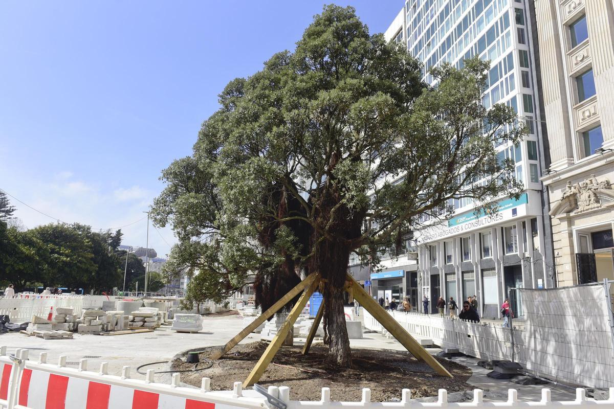 El metrosidero de los Cantones en una nueva ubicación, más próxima al Obelisco tras ser trasladado para hacer un ascensor al párking.