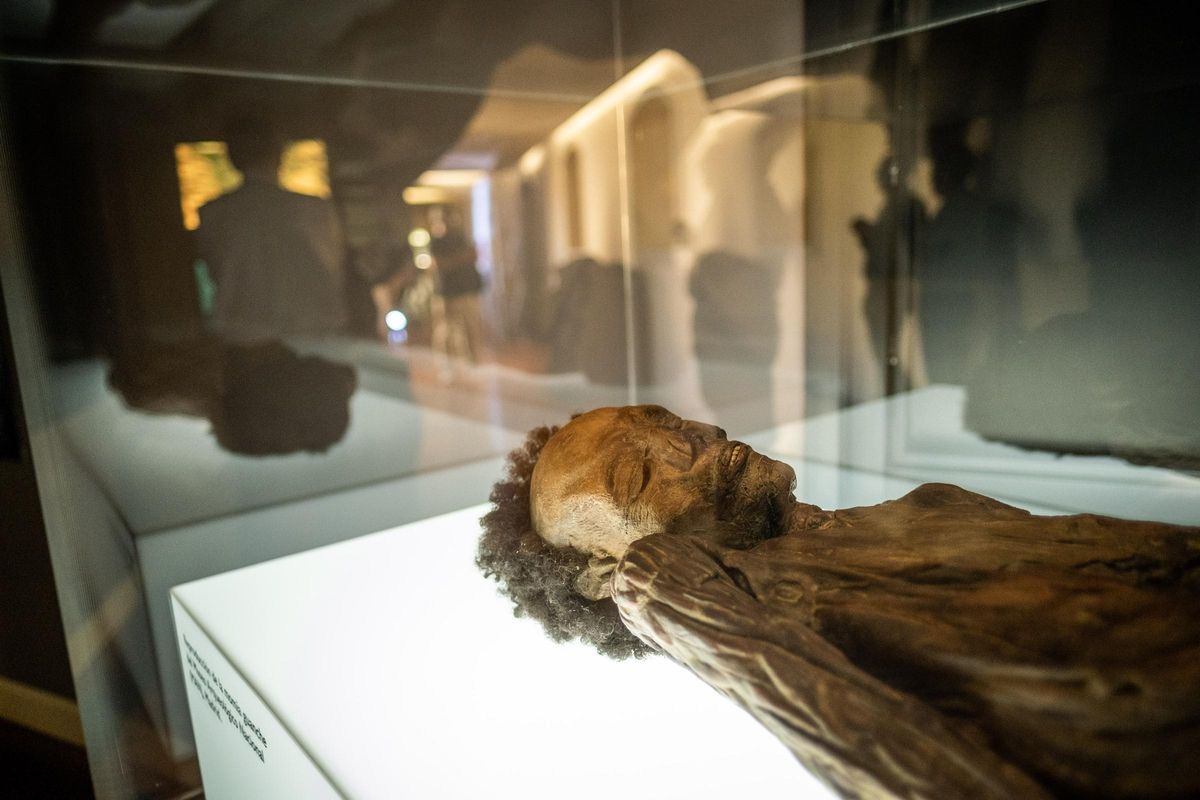 The replica of the Guanche mummy from the Archaeological Museum of Madrid that is located in the MUNA of Santa Cruz de Tenerife.