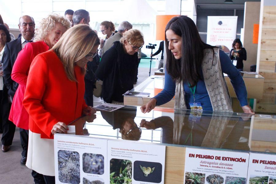 Ecocultura Zamora 2016