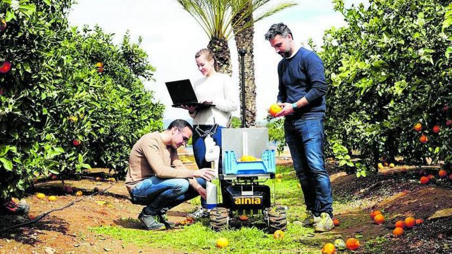 El robot valenciano que  recoge fruta
