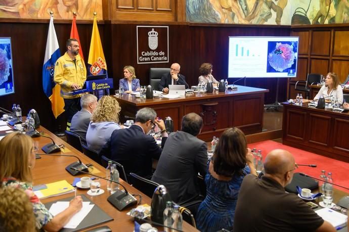 Pleno del Cabildo sobre el incendio de Gran Canaria.